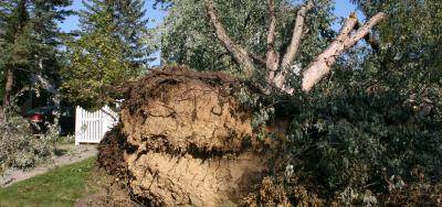 The Positive Power of a Storm