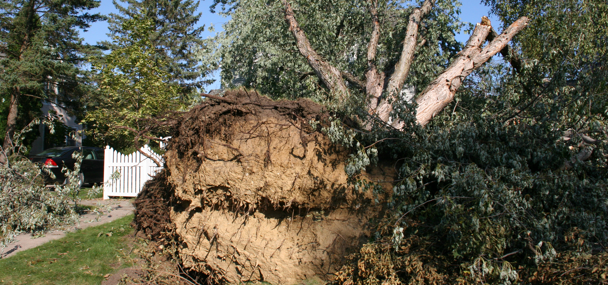 The Positive Power of a Storm