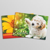 Encouragement Greeting Cards