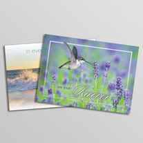 Get Well Greeting Cards