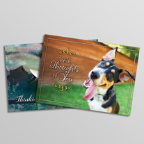 Thinking of You Greeting Cards